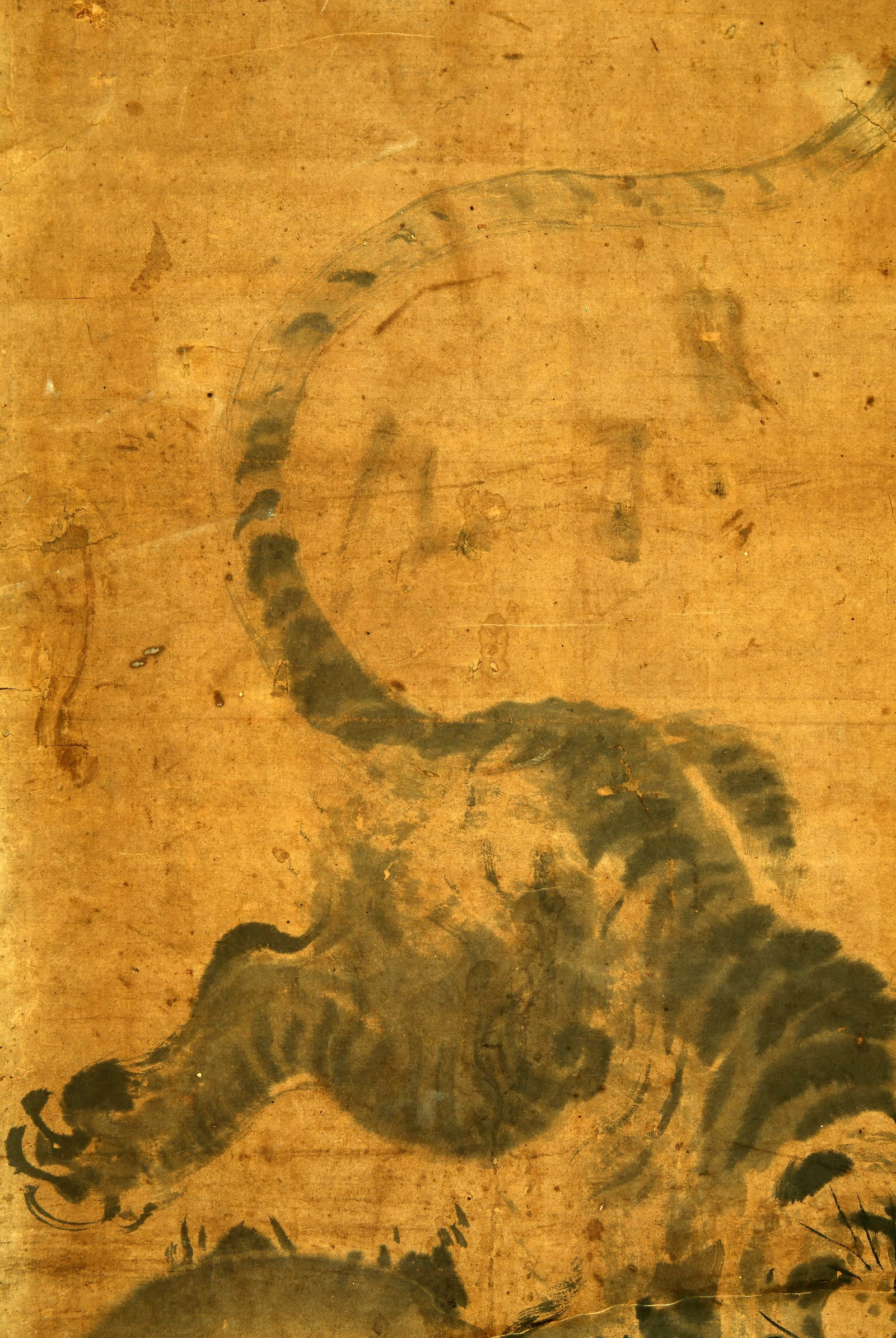 Muxi tiger - 4