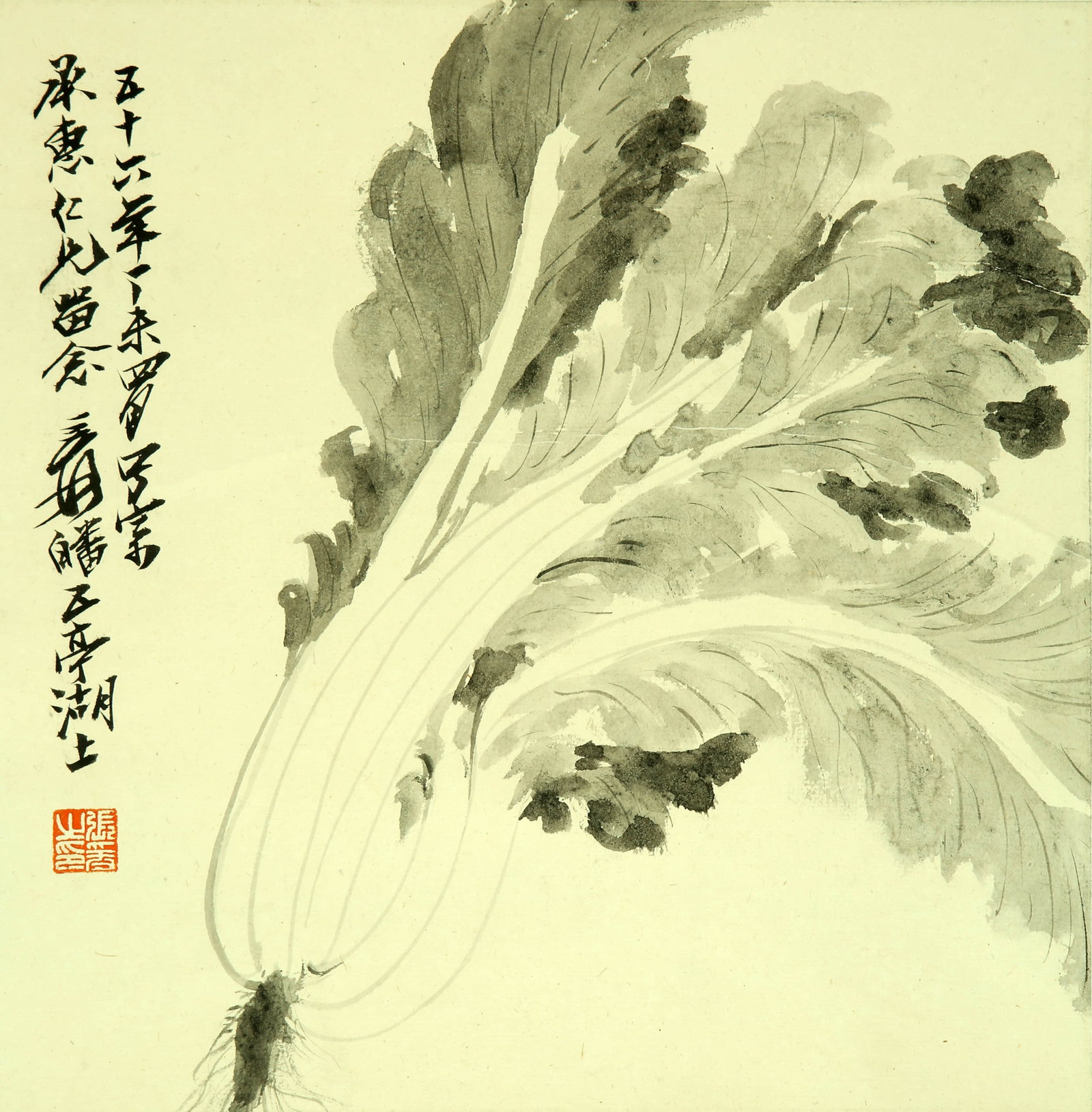 Zhang Daqian's cabbage: 25by25 vertical axis of ink paper