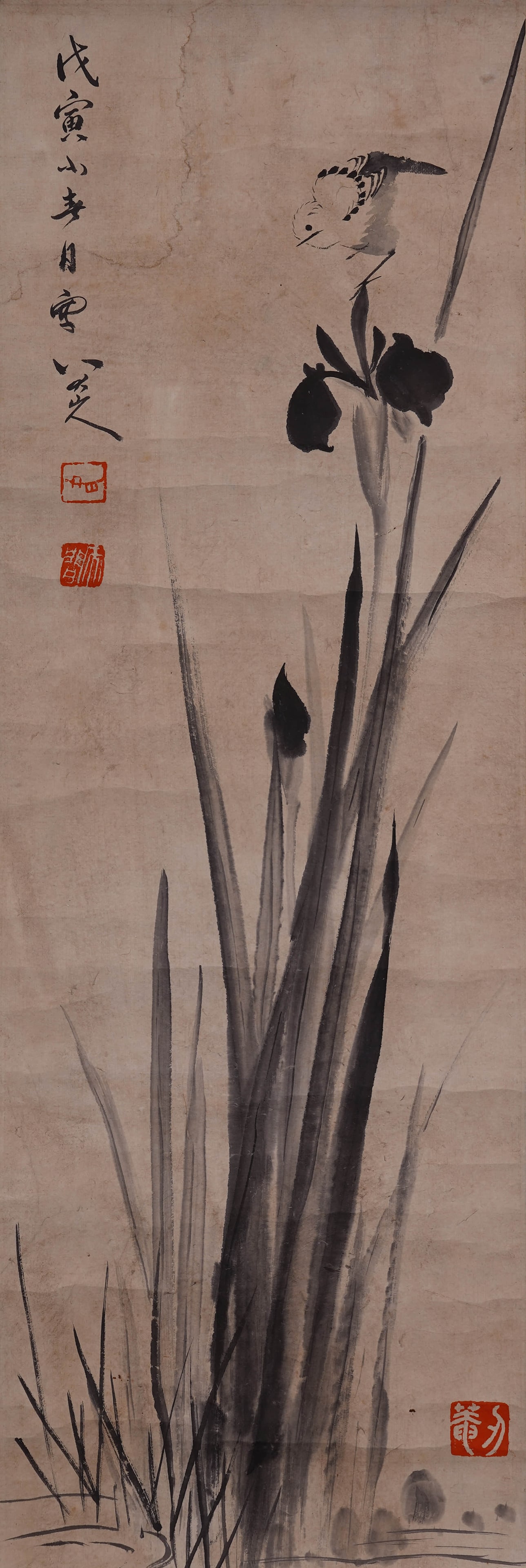 Badashanren flower and bird: 62.5by21 vertical axis of ink and wash paper