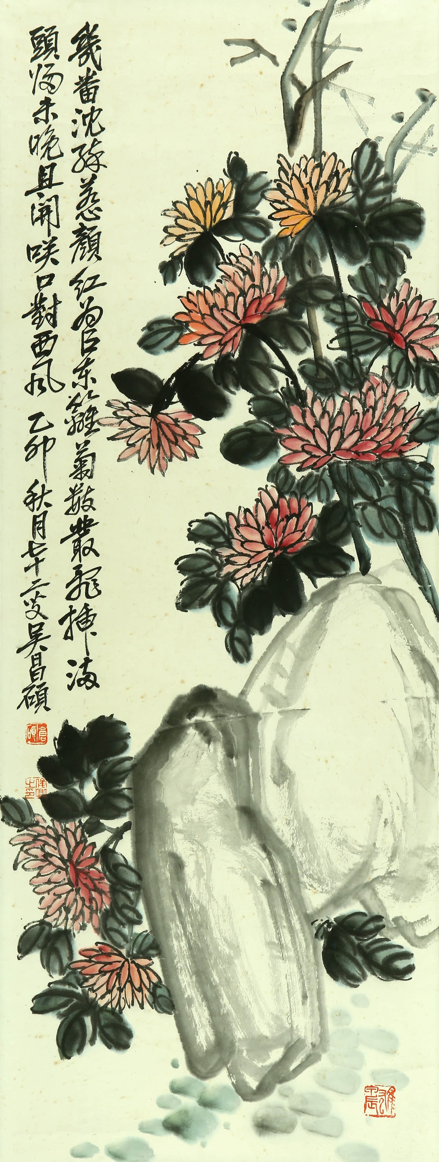 Wu Changshuo chrysanthemum stone map: 108by40 colored paper vertical shaft