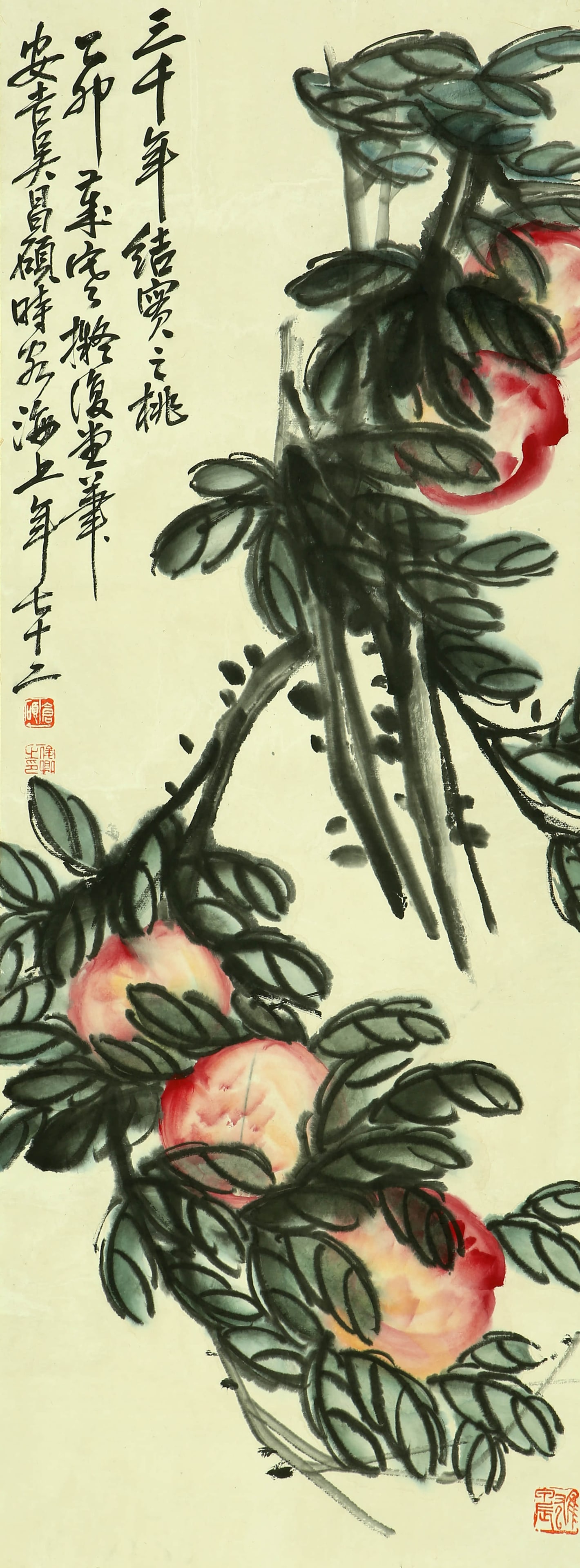 Wu Changshuo is 3000 years old.: 104by38 colored paper vertical shaft
