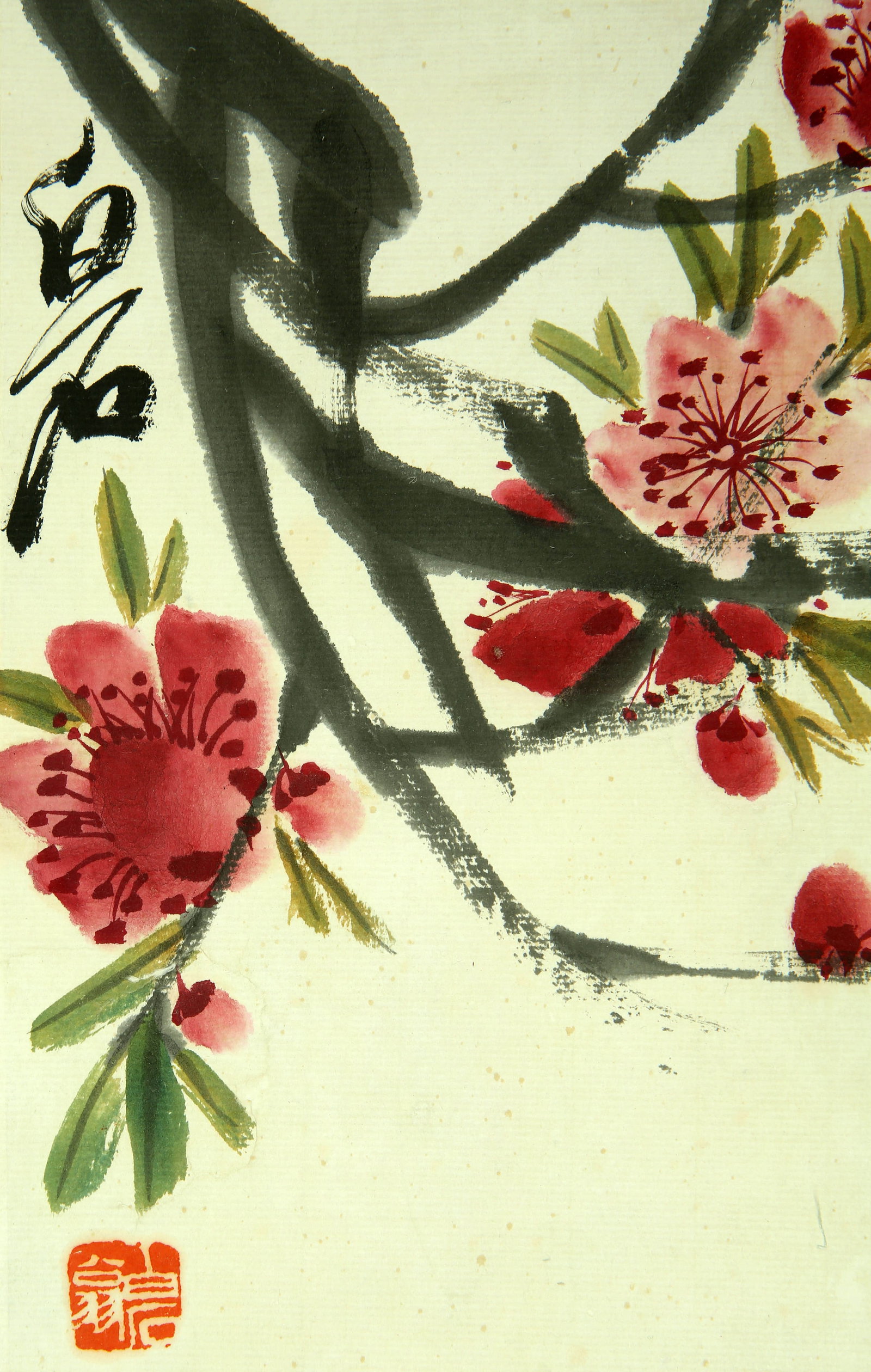 Qibaishi peach bee - 6
