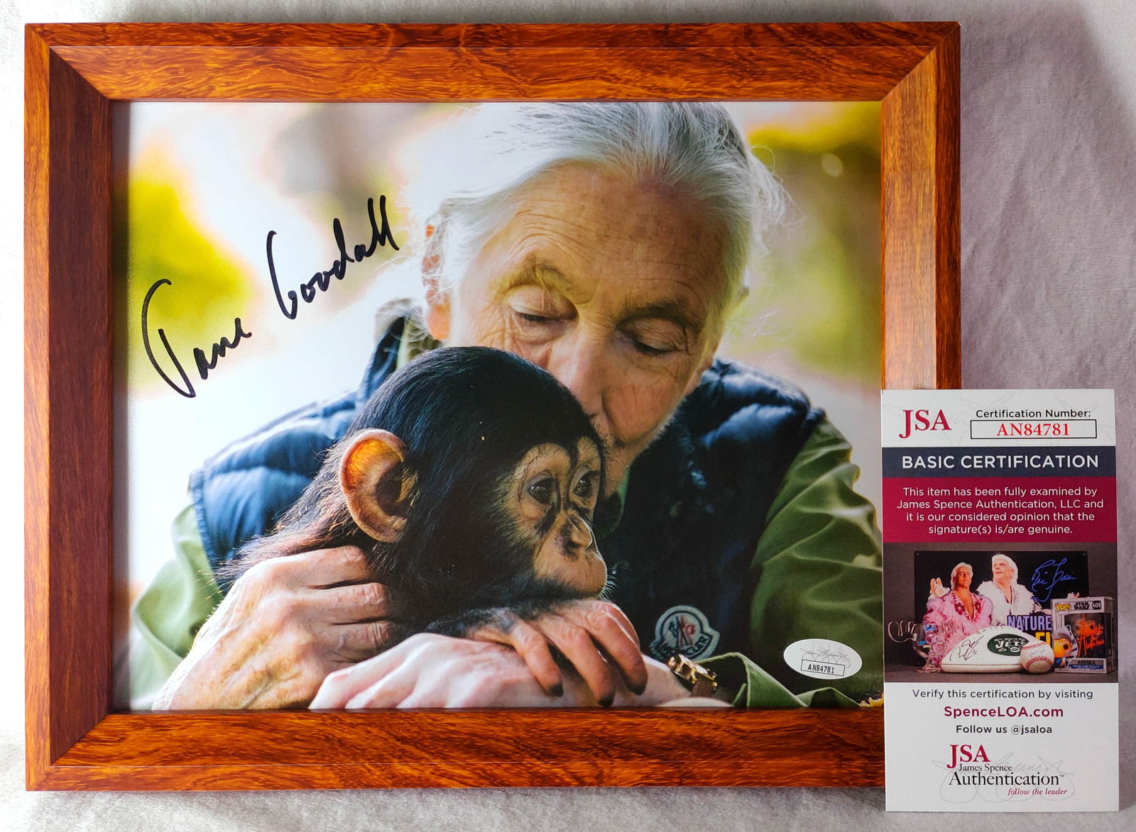 Jane goodall's . photo of "the human goddess of wild animals" -JSA identification: jane goodall's . photo of" the human goddess of wild animals "(the photo is about 10 inches, with a frame attached). The image of the collection is a portrait of jane goodall, one of the greatest