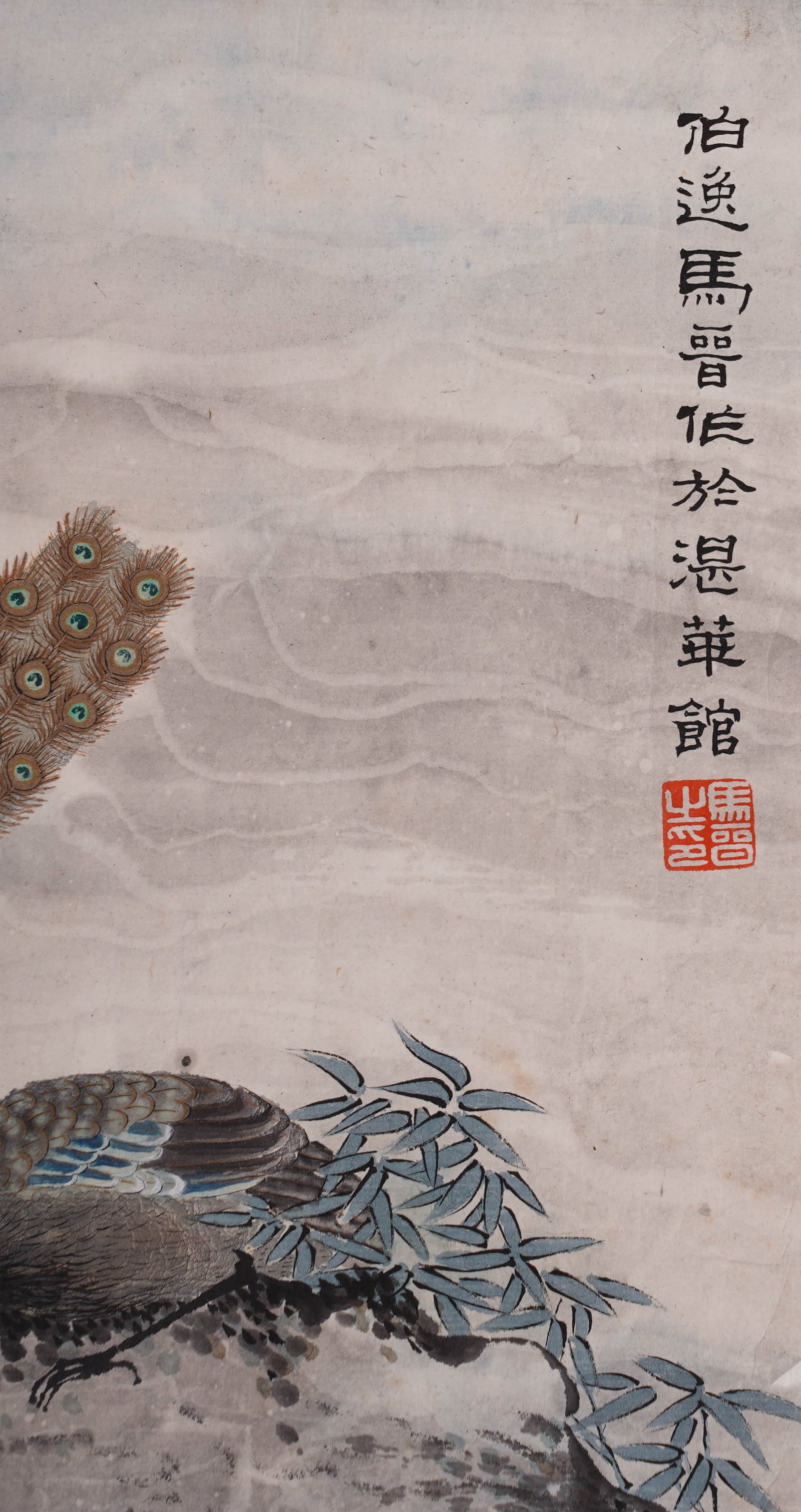 Ma Jin Peacock - 2