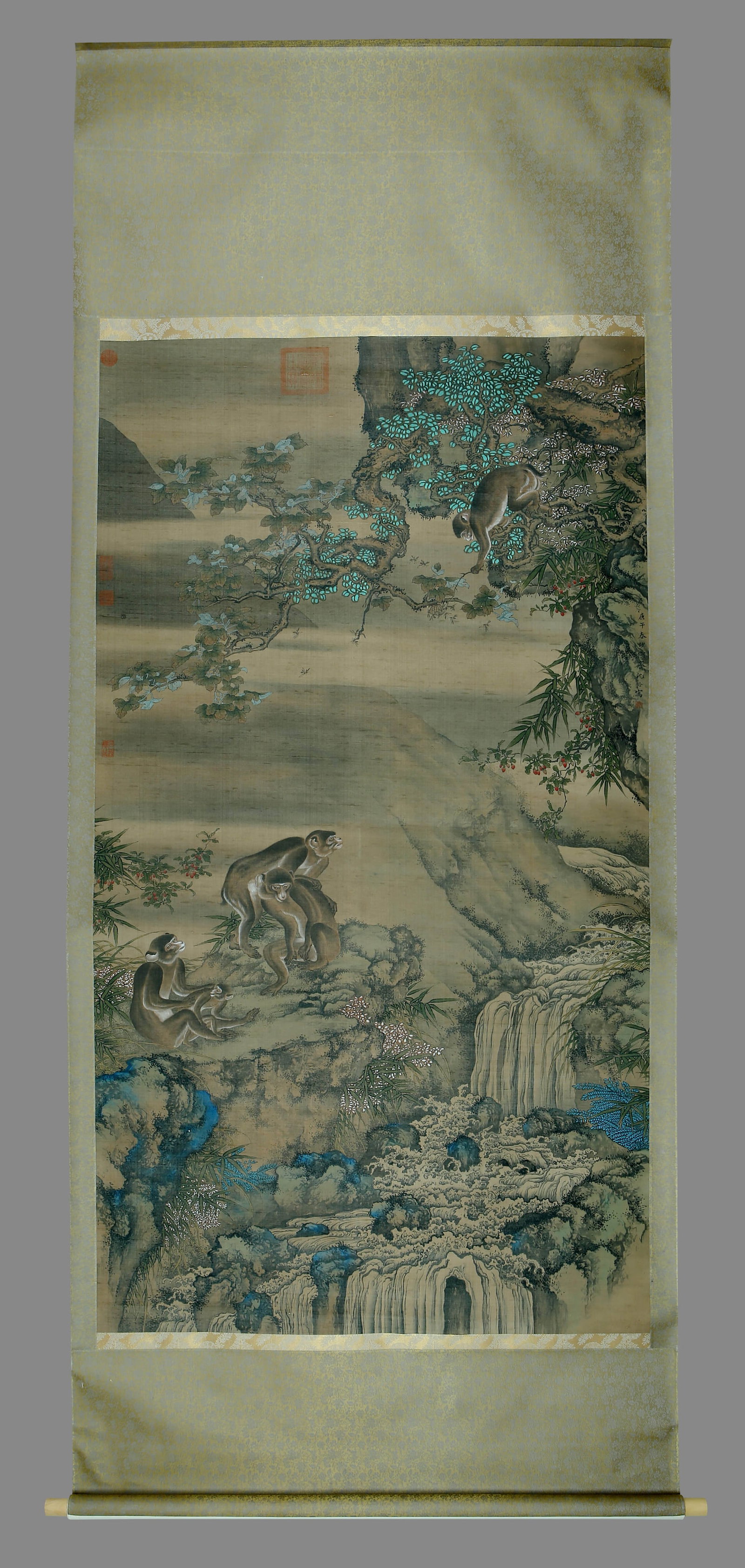 Shen Quan Monkey Show - 2