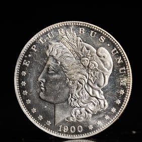 USA Morgan Dollar 1900 Coin