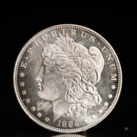 USA Morgan Dollar 1894 Coin