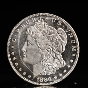 USA Morgan Dollar 1883 Coin
