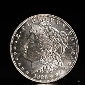 USA Morgan Dollar 1885 Coin