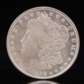 USA Morgan Dollar 1896 Coin