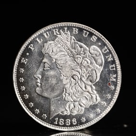 USA Morgan Dollar 1886 Coin