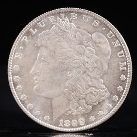 USA Morgan Dollar 1899 Coin