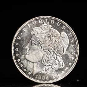 USA Morgan Dollar 1894 Coin