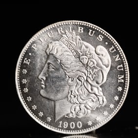 USA Morgan Dollar 1900 Coin