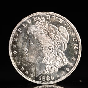 USA Morgan Dollar 1886 Coin