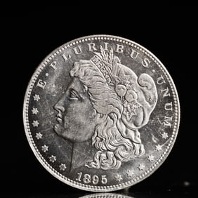 USA Morgan Dollar 1895 Coin
