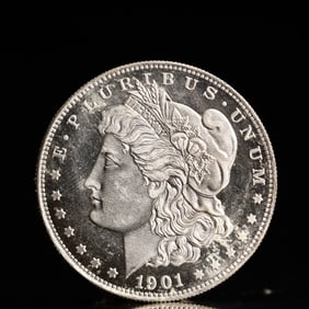 USA Morgan Dollar 1901 Coin