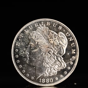 USA Morgan Dollar 1880 Coin