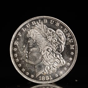 USA Morgan Dollar 1881 Coin