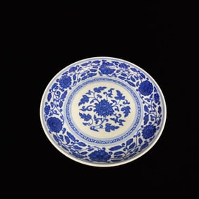 An Exquisite Blue and White Lotus Pattern Plate