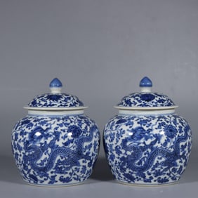 A Pair of Exquisite Blue and White Flower and Dragon Pattern Tea Caddies