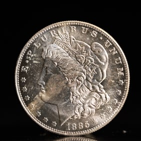 USA Morgan Dollar 1885 Coin