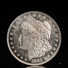 USA Morgan Dollar 1883 Coin
