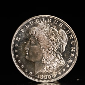 USA Morgan Dollar 1880 Coin