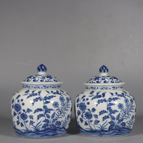 A Pair of Exquisite Blue and White Flower Pattern Tea Caddies