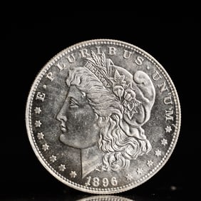 USA Morgan Dollar 1896 Coin