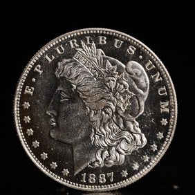 USA Morgan Dollar 1887 Coin