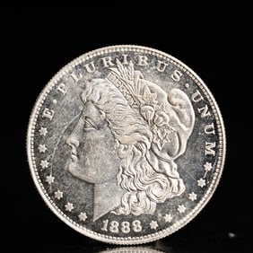 USA Morgan Dollar 1888 Coin