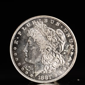 USA Morgan Dollar 1881 Coin