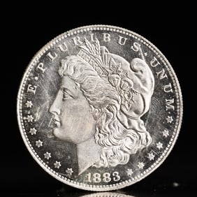USA Morgan Dollar 1883 Coin
