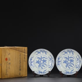 A Pair of Exquisite Blue and White Flower Pattern Plates