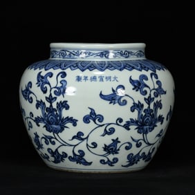 An Exquisite Blue and White Lotus Pattern Jar