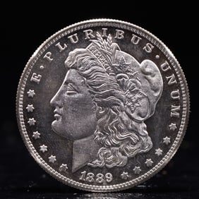 USA Morgan Dollar 1889 Coin