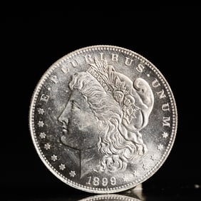 USA Morgan Dollar 1899 Coin