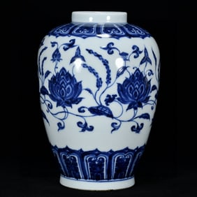 An Exquisite Blue and White Lotus Pattern Jar