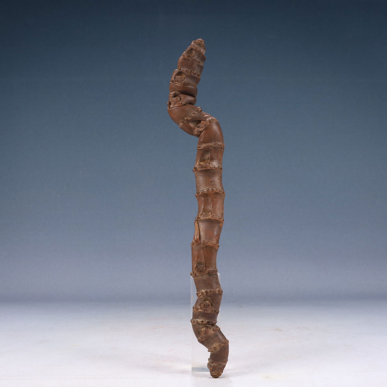 A Rare Root Ornament: A Rare Root Ornament,Qing Dynasty, China,Size:2inx0.8inx13.8in,Weight:100g 树根摆件,中国清代