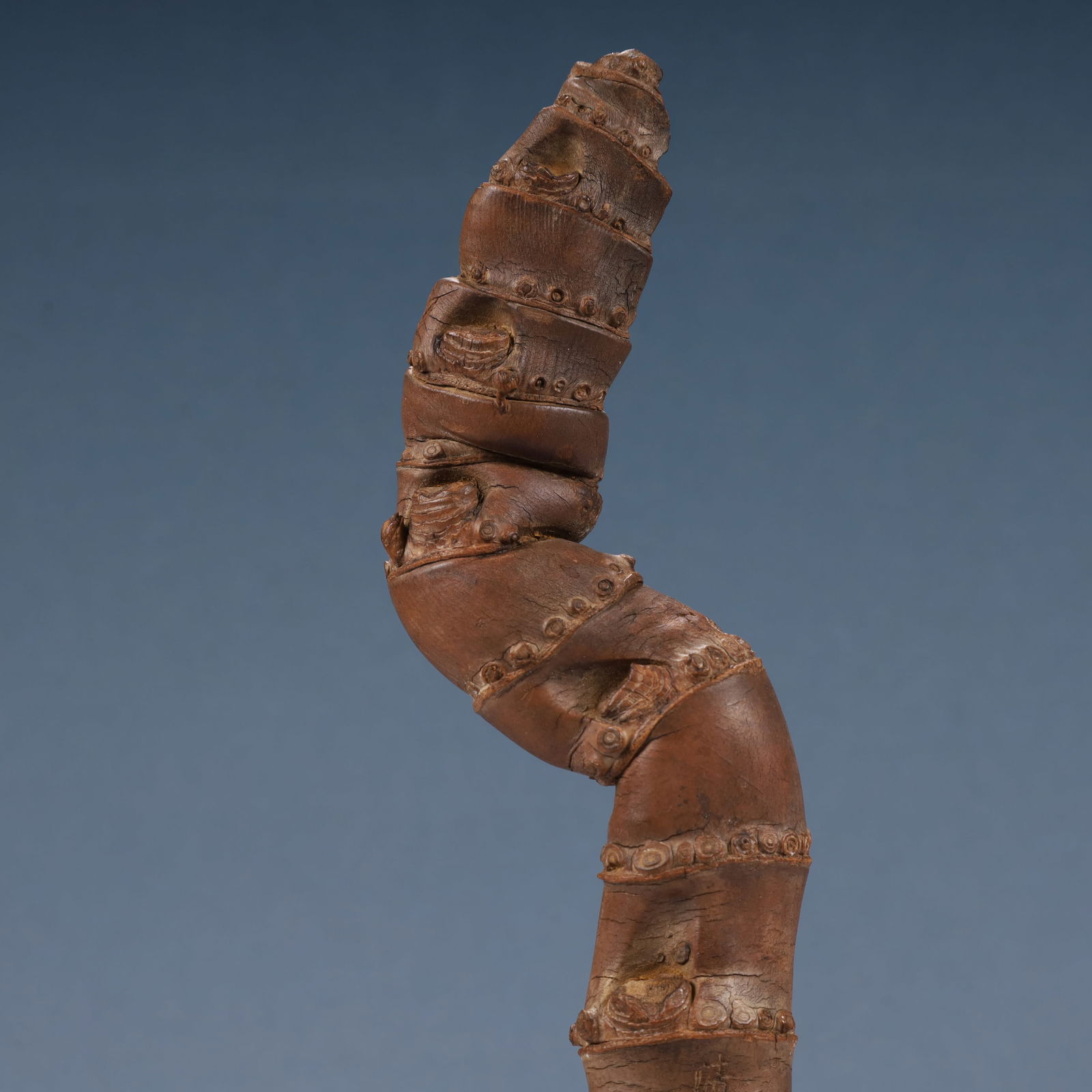 A Rare Root Ornament - 2