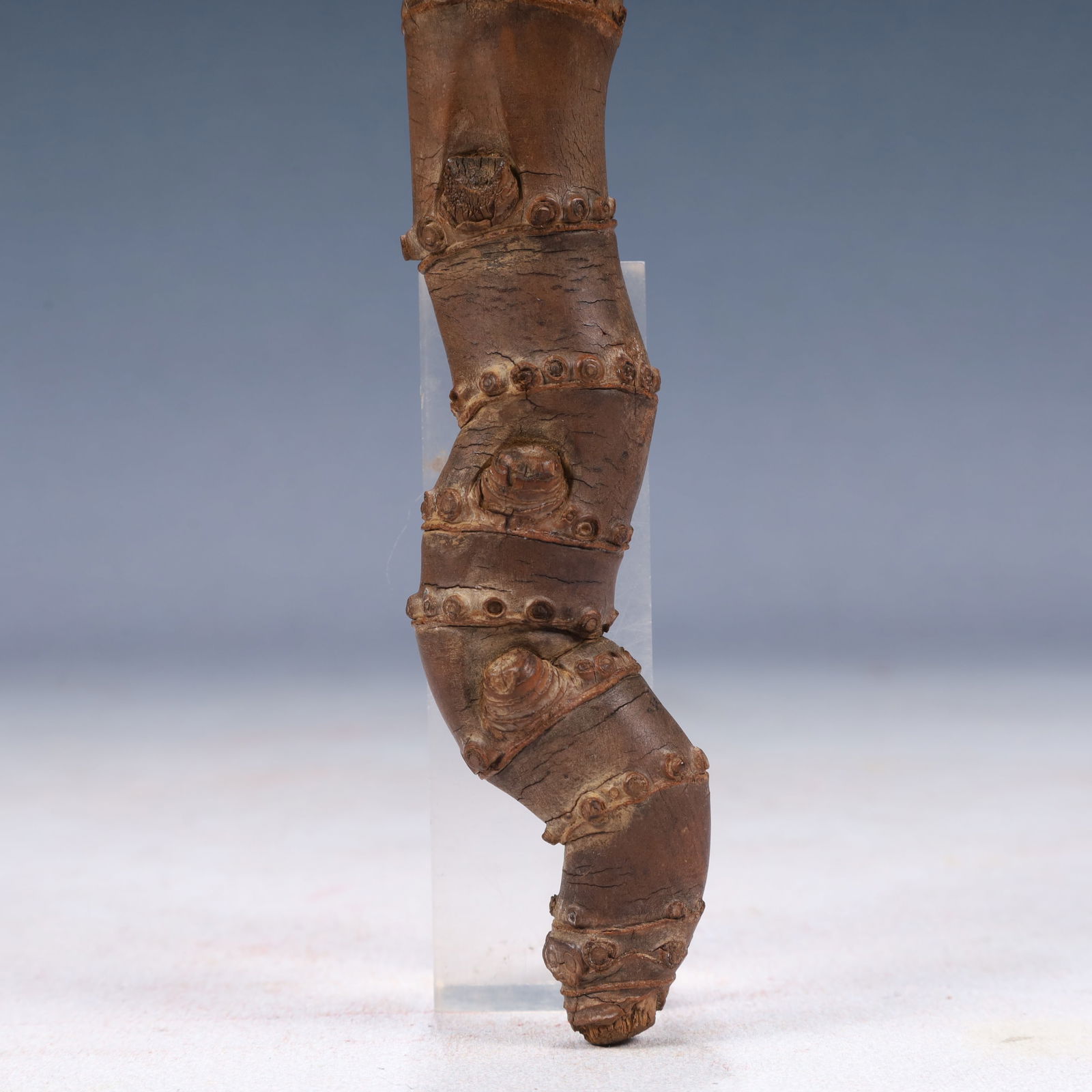 A Rare Root Ornament - 5