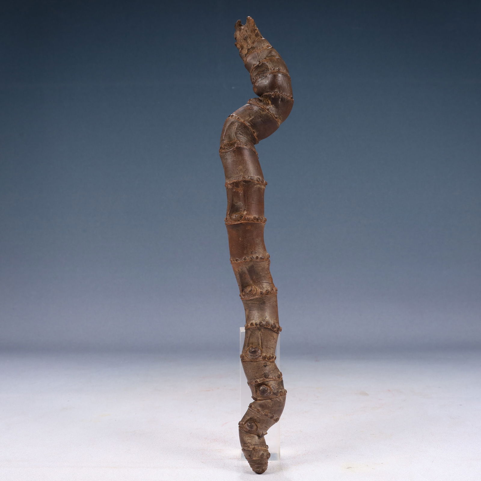 A Rare Root Ornament - 6