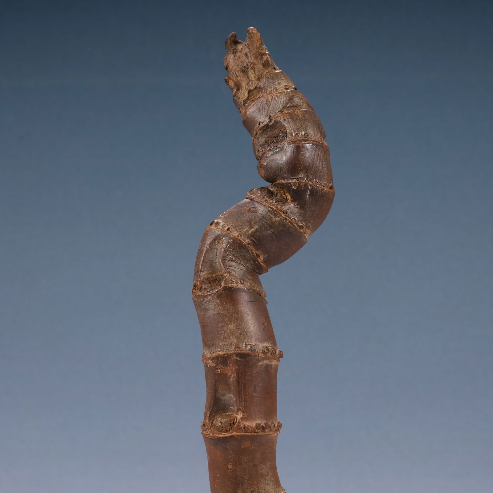 A Rare Root Ornament - 7