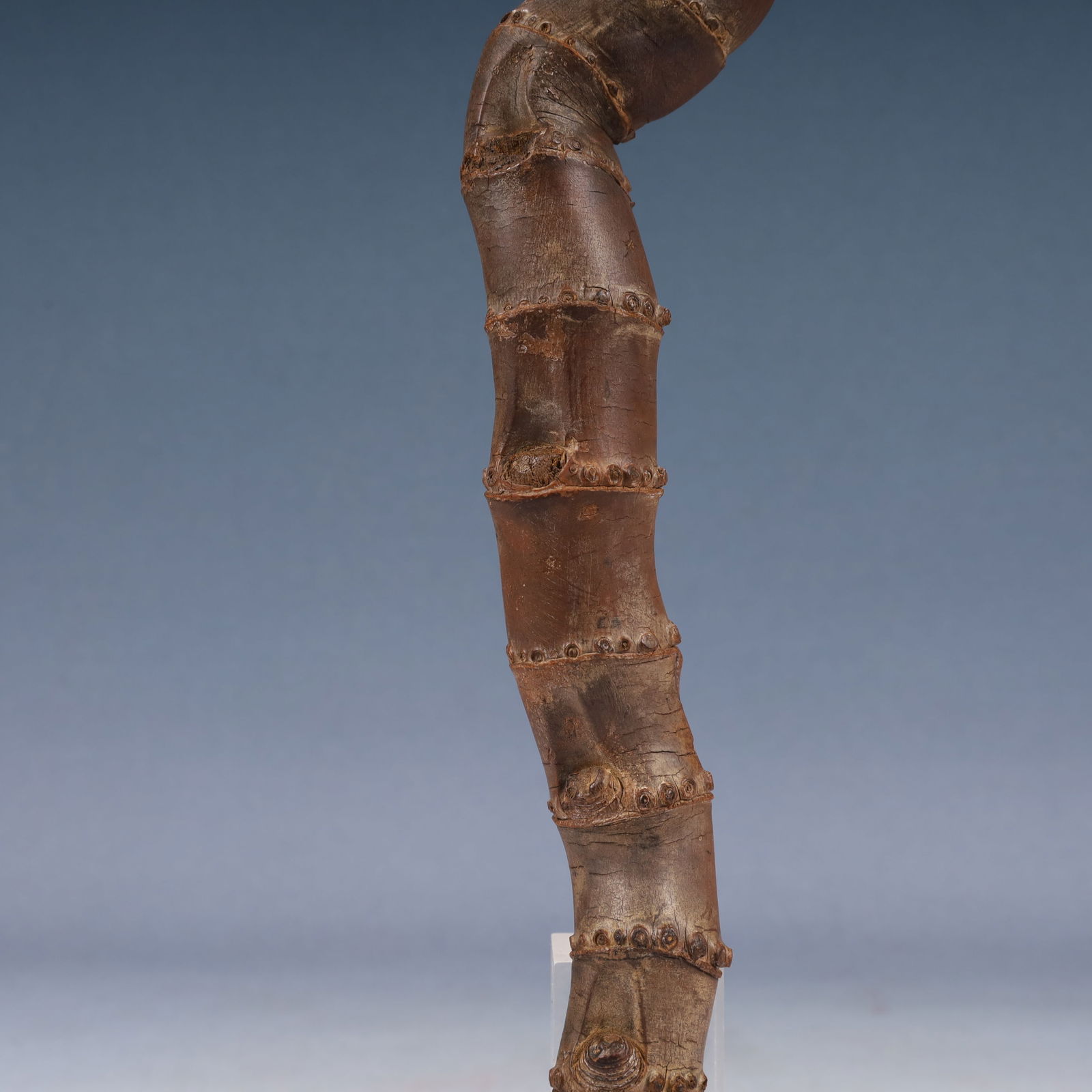 A Rare Root Ornament - 8