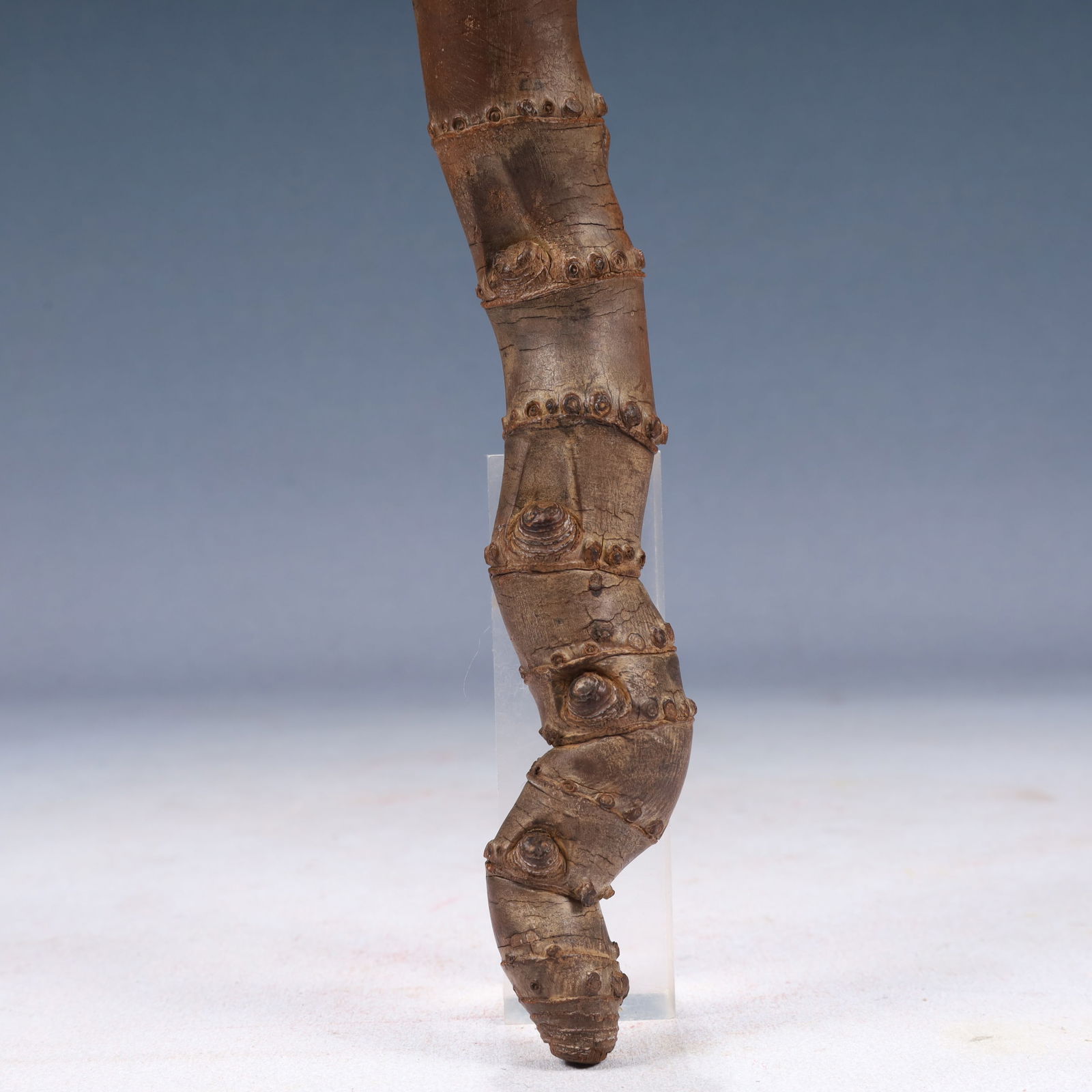 A Rare Root Ornament - 9