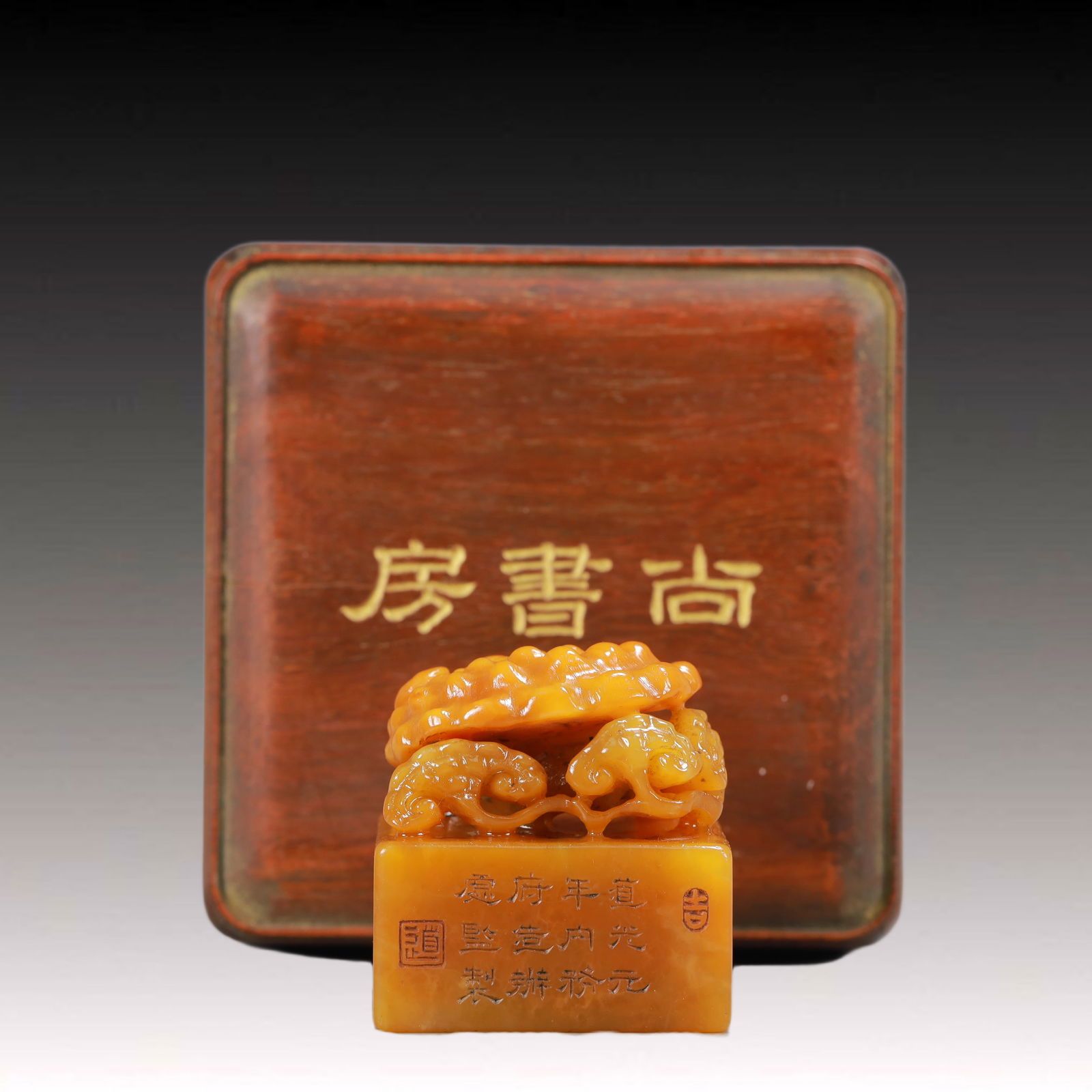 An Exquisite Tianhuang Stone Ganoderma lucidum Pattern Seal (1 of 9)