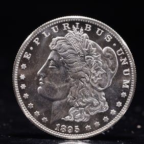 USA Morgan Dollar 1895 Coin