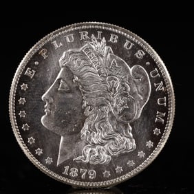 USA Morgan Dollar 1879 Coin