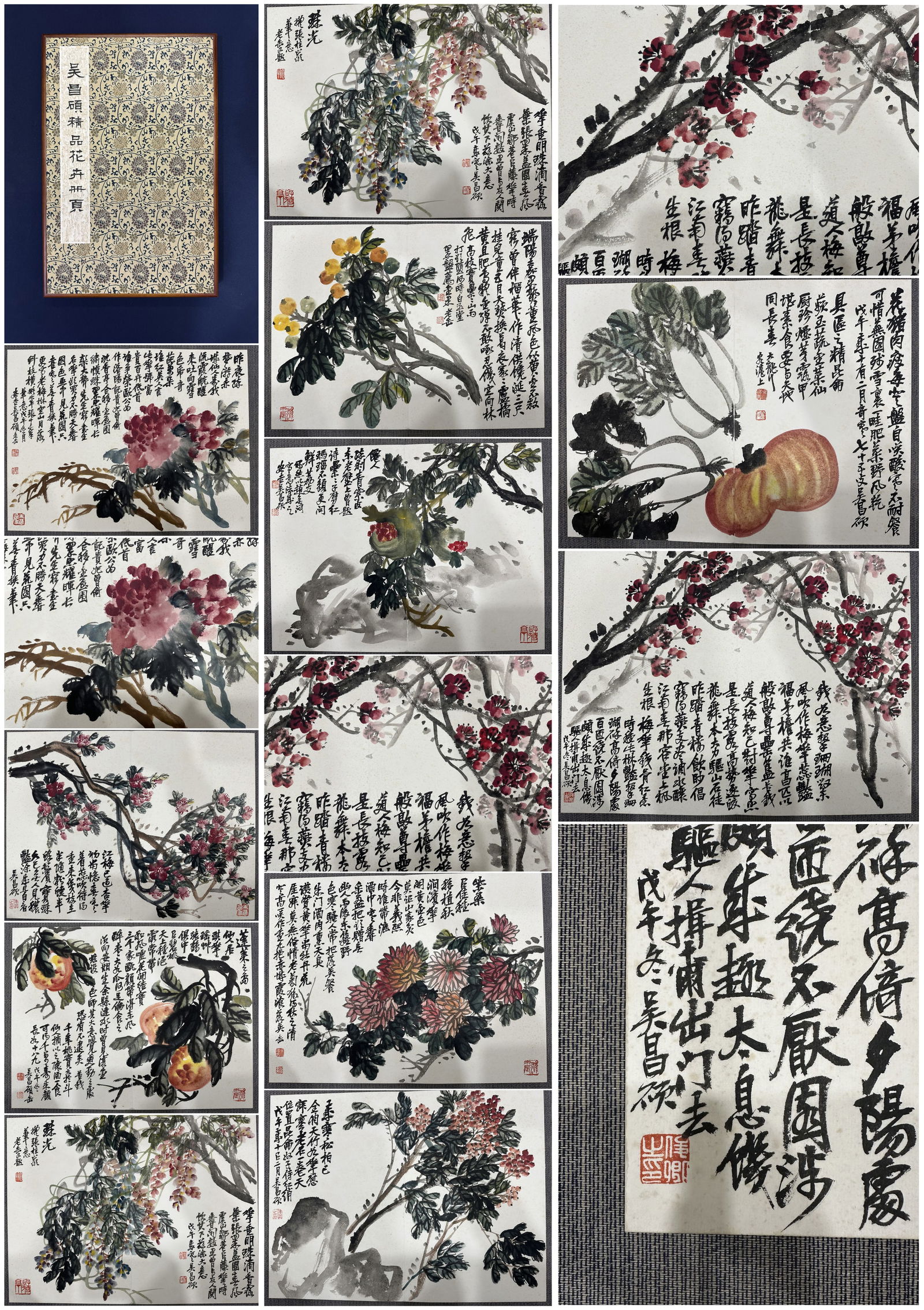 A Chinese Album Ink Painting of Flower on Paper: A Chinese Album Ink Painting of Flower on Paper,Wu Changshuo,Size:16.5inx22inx3.9in 一本中国水墨花卉画册,吴昌硕